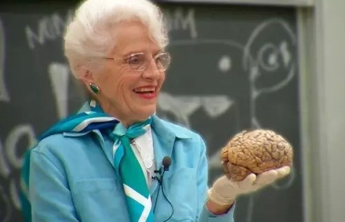 爱因斯坦的奇异旅行: 天才的大脑和不朽的灵魂