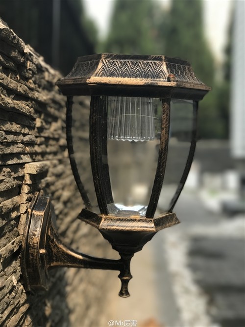 惊!iPhone 7P拍照对比华为P9:差别好大_互联网