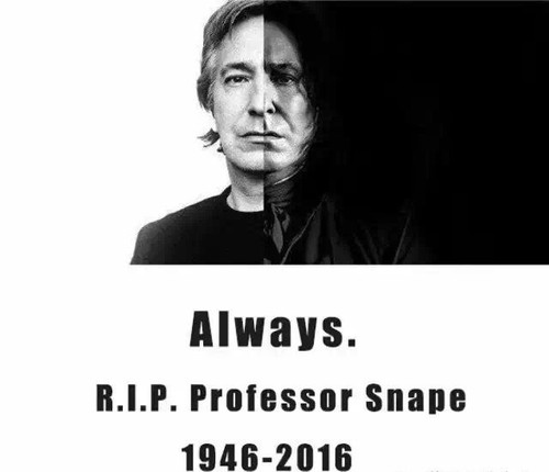 小米回应空气净化器不合格:测试流程有问题