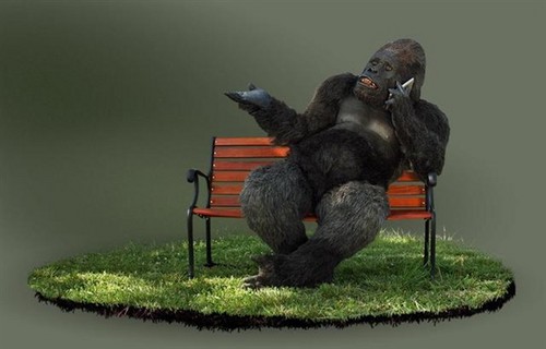 普通手机可否换康宁大猩猩第4代屏?_互联网头