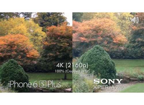 ţֻԾ iPhone6S PKZ5 