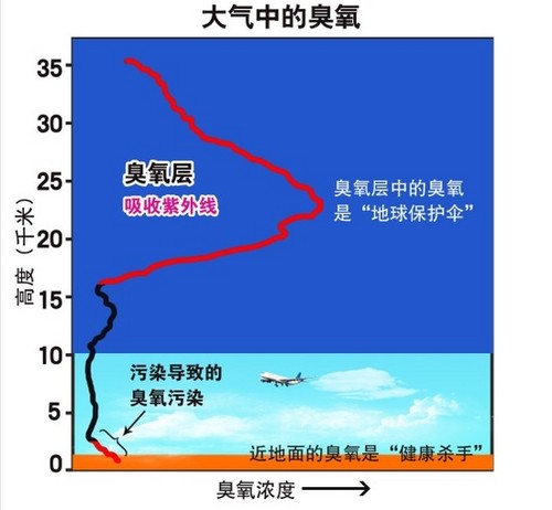 臭氧污染中国 还干扰蜜蜂减弱花香