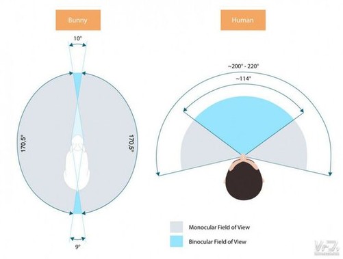 关乎沉浸感 vr眼镜视场角为何不能再大一点?