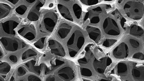 石墨烯泡沫新进展,器官再生不再是难题